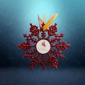 Wyoming COWBOYS Handmade Snowflake Ornament *NEW*